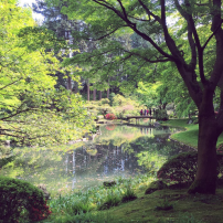 Nitobe Japanese Memorial Garden